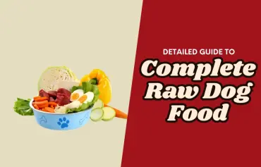 What Is Complete Raw Dog Food? how To Make It